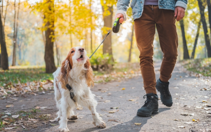 KynoGedrag Hond blaft naar andere honden